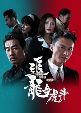 追龙番外篇之龙争虎斗(国)
