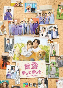宠爱PetPet(粤)