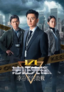 法证先锋6（粤）