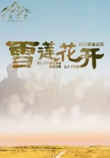 雪莲花开——对口援疆纪实