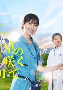 在勿忘草盛开的城镇